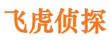 龙山市侦探公司